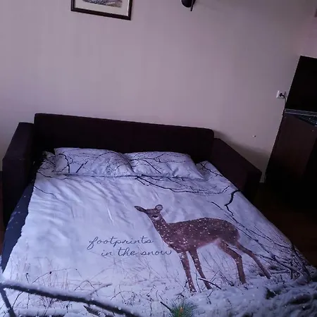 Dream 207 Apartmán Bansko