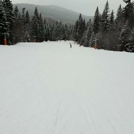 Dream 207 Bansko