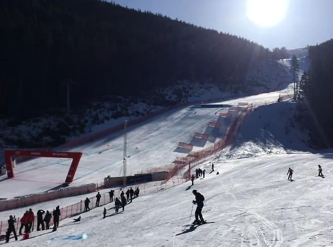 Appartement Dream 207 *