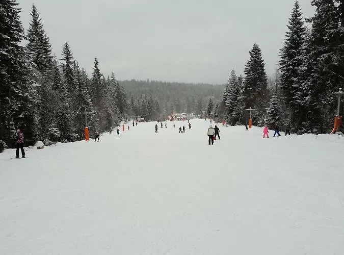 Appartement Dream 207